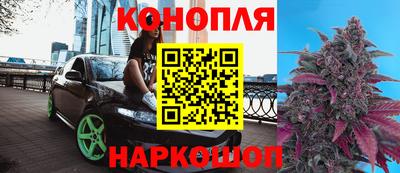 гидра Ачхой-Мартан