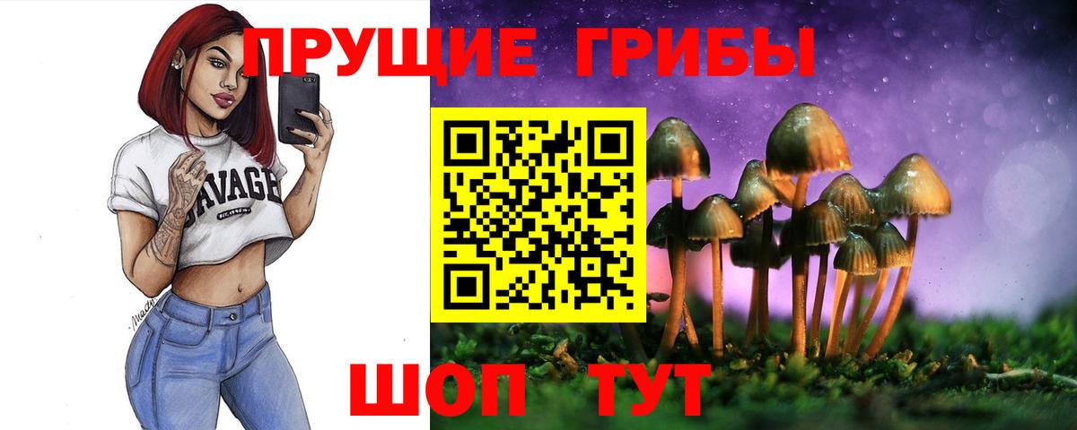 Галлюциногенные грибы Cubensis Сорочинск