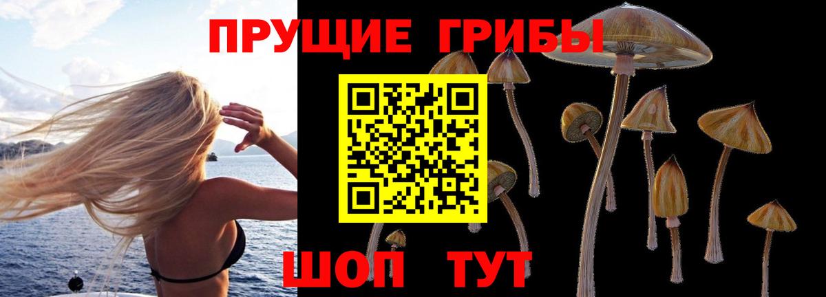Сорочинск  Псилоцибиновые грибы GOLDEN TEACHER  Вход с VPN 